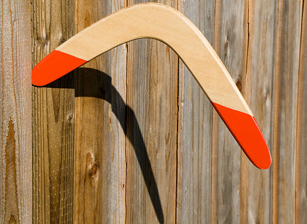 istock Boomerang in Fence 151549487