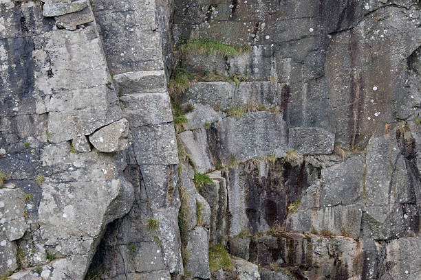 cliff twarz - bodmin moor zdjęcia i obrazy z banku zdjęć