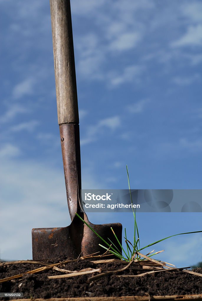 SECCHIELLO in piedi nel terreno con sfondo di cielo - Foto stock royalty-free di Arrugginito