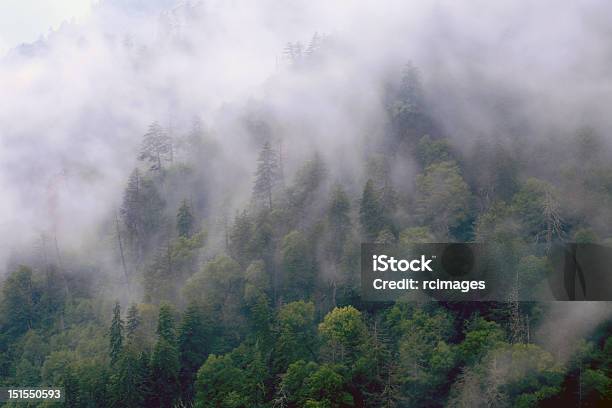 구름 굴절률은 산 0명에 대한 스톡 사진 및 기타 이미지 - 0명, 가문비나무, 경관