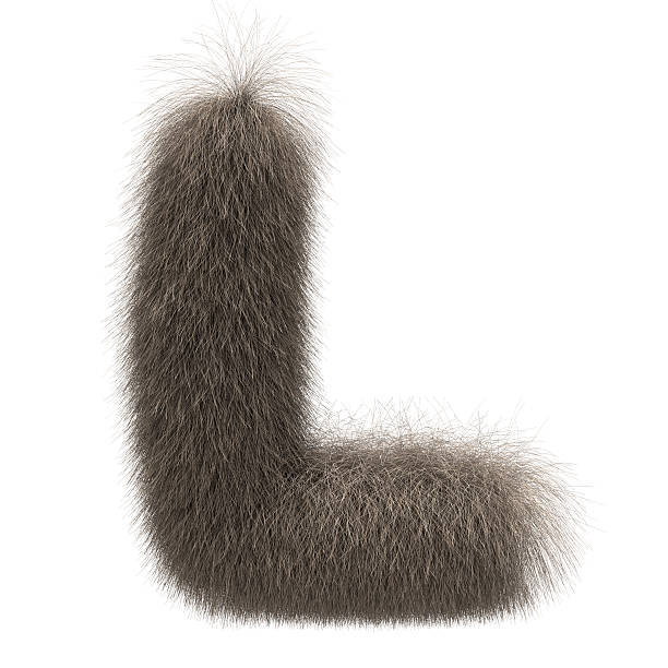 istock Letter L from fur alphabet 151551450