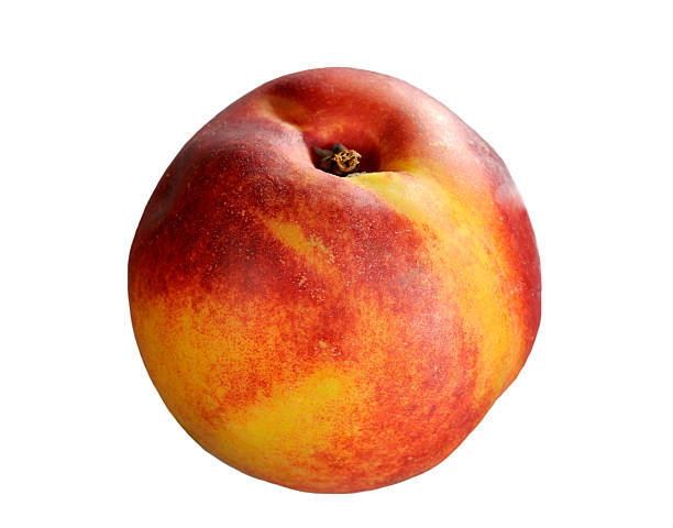 Nectarine over white stock photo