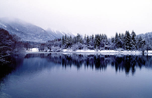 istock Winter scenery near Schloss Neuschwanstein. 151551912