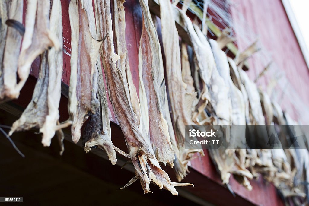 Bacalao pescado seco - Foto de stock de Aire libre libre de derechos