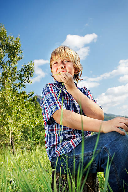 Boy chewing grass stock photo