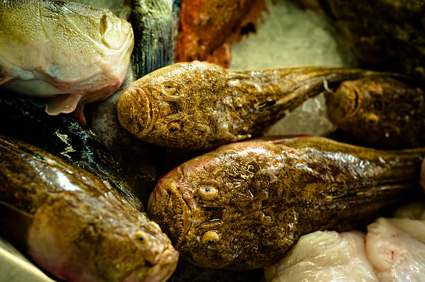 Fresh Fish & Co. 05 stock photo