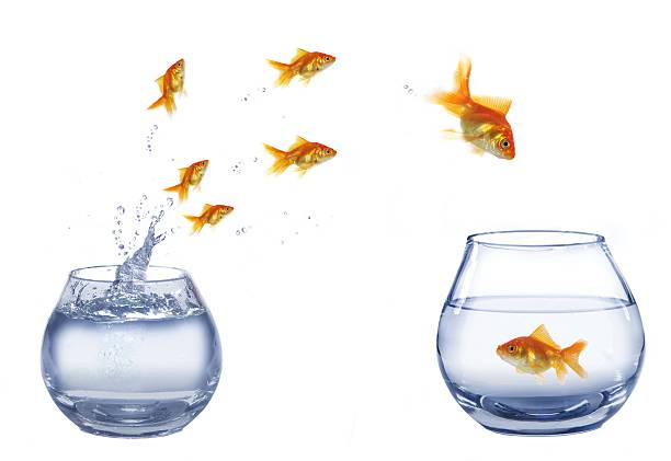 istock jump to company 151553675