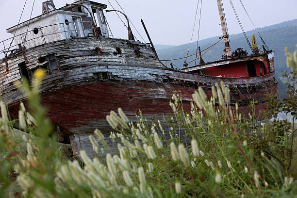 O navio naufragado - foto de acervo