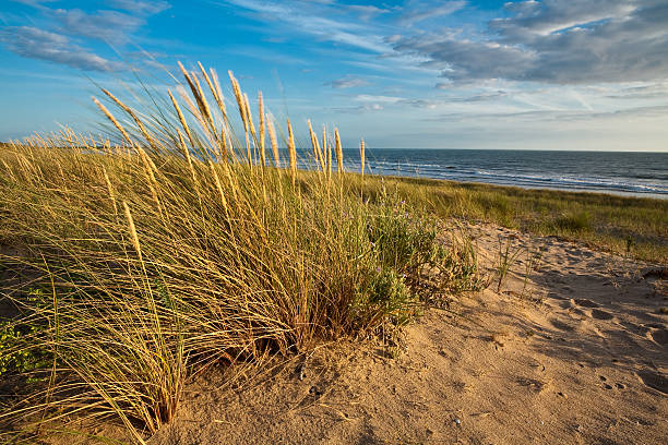 Beach in Vendee, France stock photo