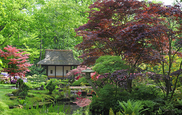 istock Japanese garden 151555412