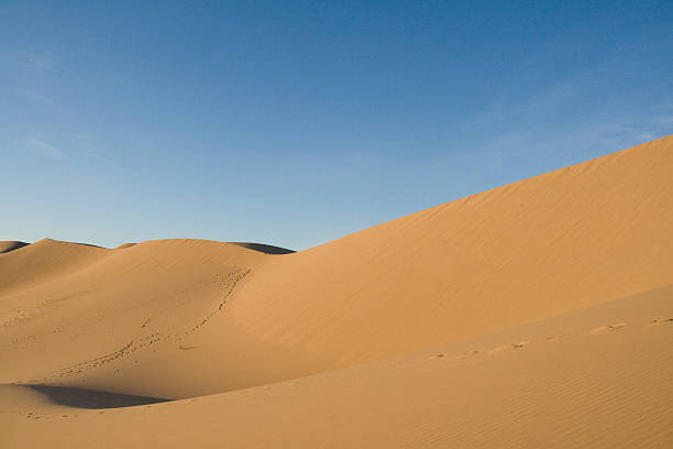 istock Gobi Desert Sand dunes 151555561
