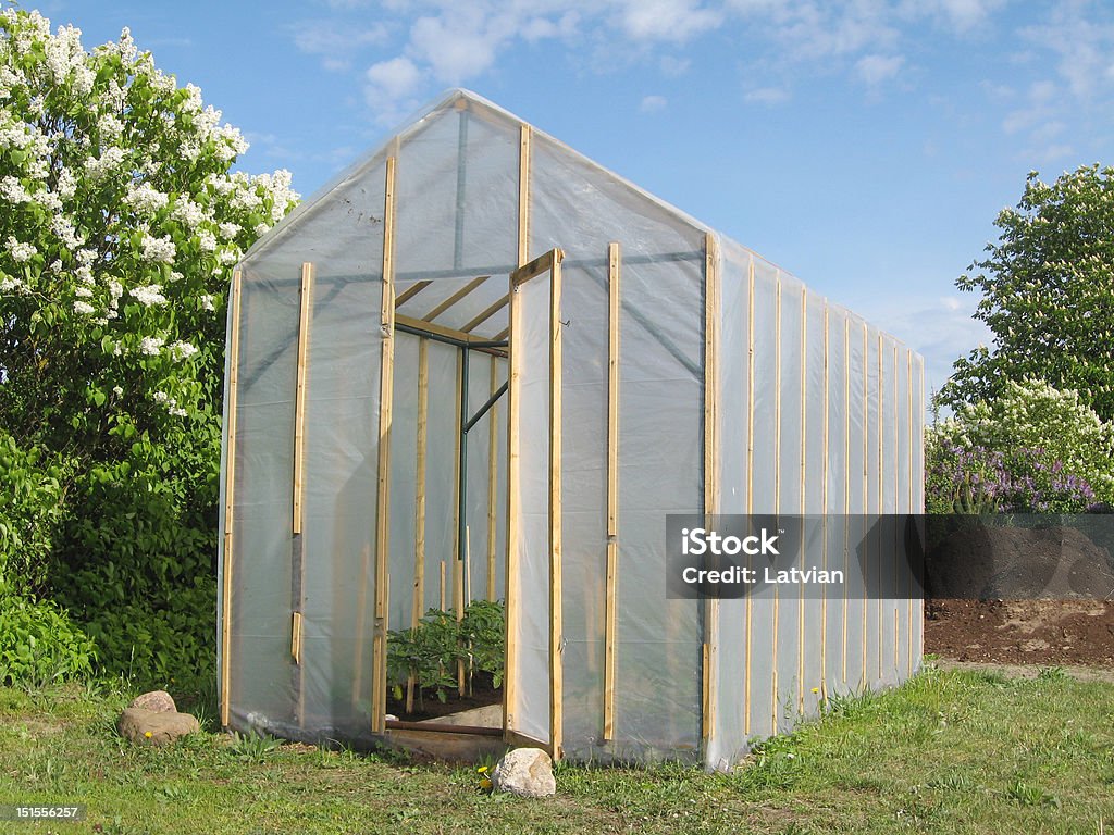 Homemade greenhouse Homemade simple plastic greenhouse with tomato plants Accessibility Stock Photo
