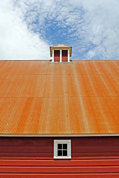 estañado en rojo barn en el último piso - metal tin cloud vertical fotografías e imágenes de stock