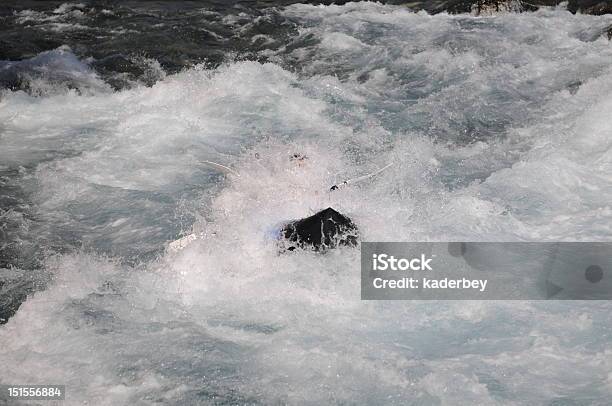 Rafting Sulle Rapide - Fotografie stock e altre immagini di Ambientazione esterna - Ambientazione esterna, Attività, Avventura