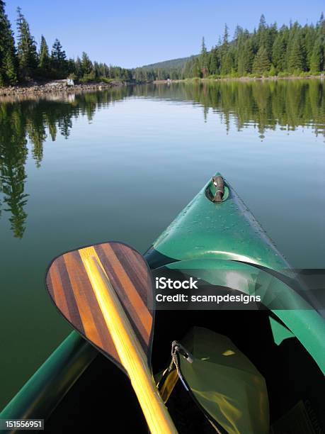 Canoe And Paddle Stock Photo - Download Image Now - Birch Tree, Canoe, Canoeing
