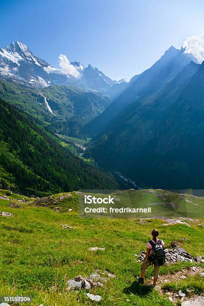 Hiking Ammirate Le Montagne - Fotografie stock e altre immagini di Camminare - Camminare, Jungfrau, Alpi