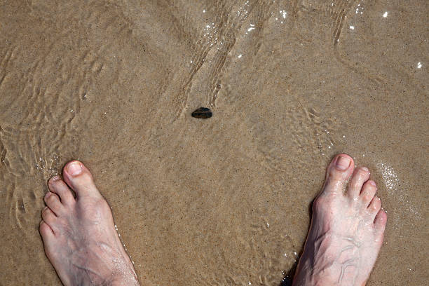 istock Feet in Sandy, Shallow Water Flanking a Single Pebble 151557663