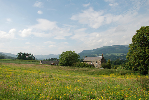 Hillside farm above Pitlochry, Perhshire, Scottish Highglands. View North towards Ben a'Ghlo.