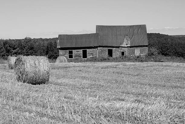 istock Field of wheat with abandoned, old house 151558133