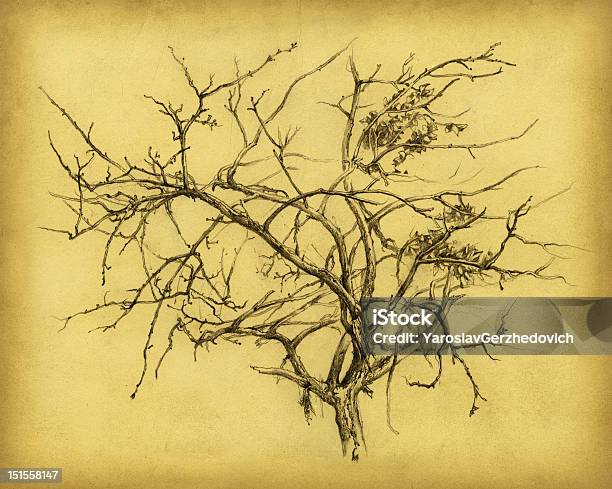 이 겨울나무 0명에 대한 스톡 벡터 아트 및 기타 이미지 - 0명, 갈색, 거친