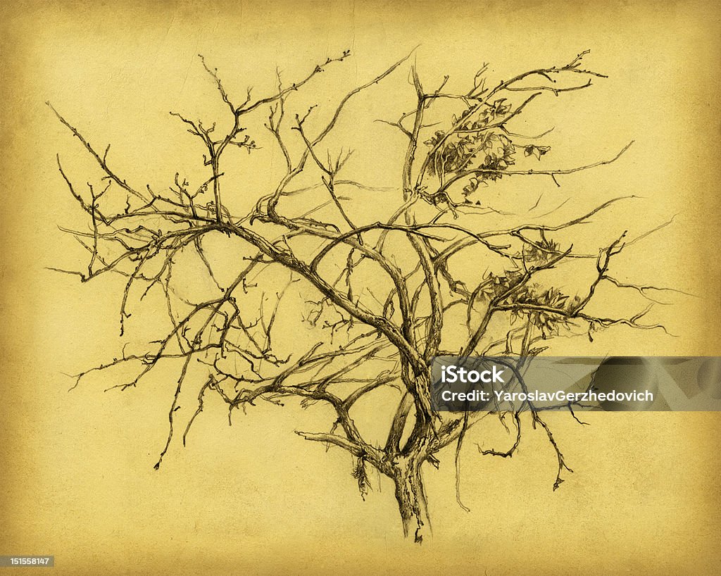 The Bezlistne drzewo. - Zbiór ilustracji royalty-free (Bez ludzi)