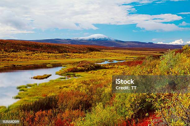 Lago De Montanha - Fotografias de stock e mais imagens de Alasca - Alasca, Ao Ar Livre, Arbusto