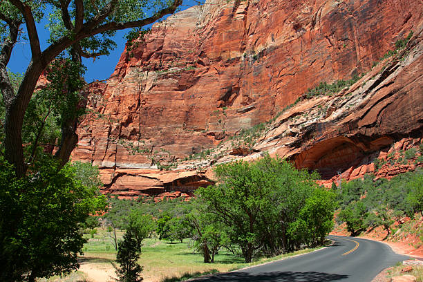 istock Zion National Park, USA\n  151558244