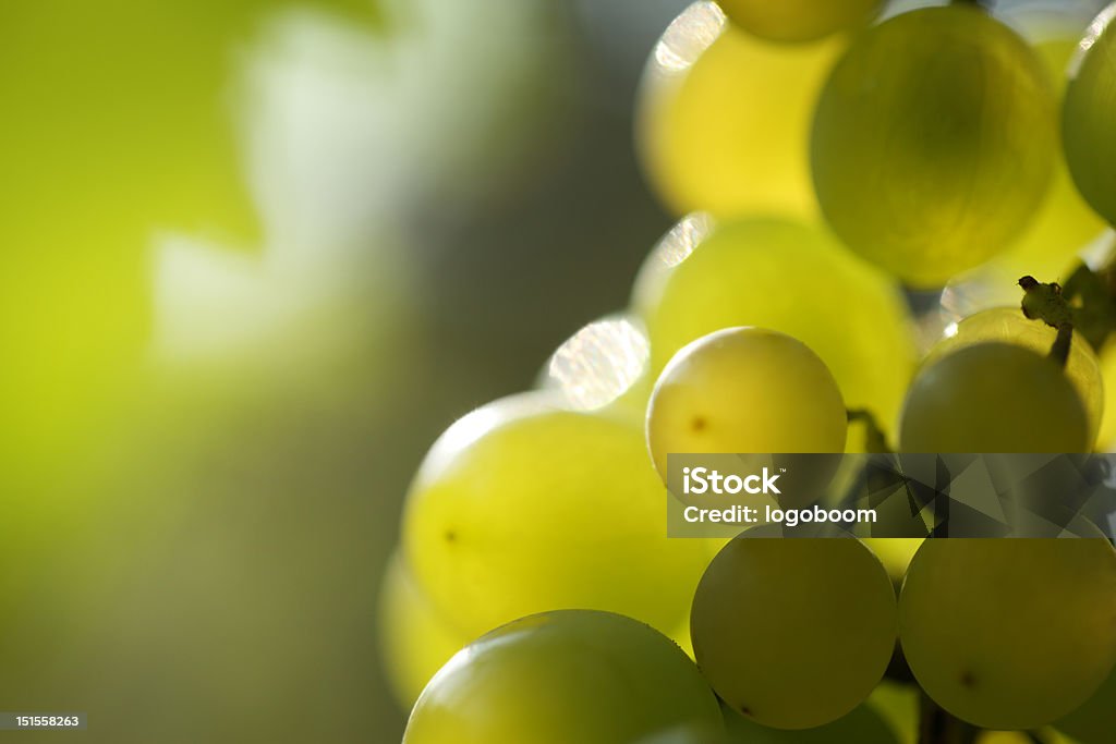 Grüne Trauben, Nahaufnahme - Lizenzfrei Abstrakt Stock-Foto