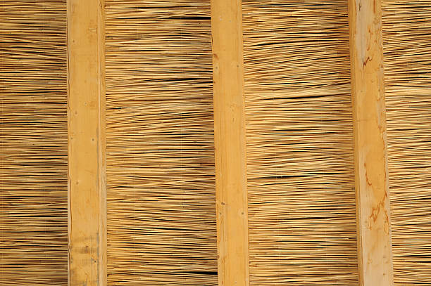 Thatched roof background stock photo