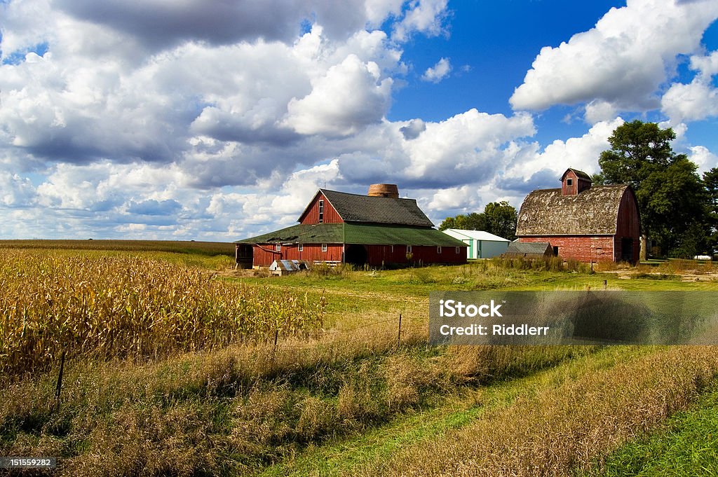 Two Barns A barn scene. Farm Stock Photo