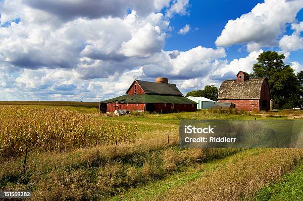 Two Barns Stock Photo - Download Image Now - Farm, Iowa, Barn