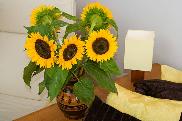 Sunflowers z łóżka – zdjęcie
