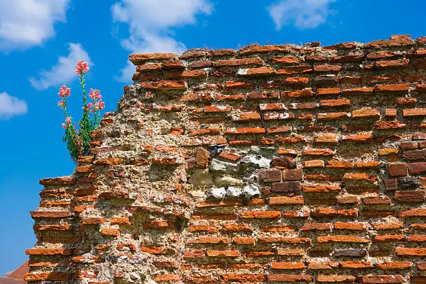Ruins of  St.Augustine abbey in Canterbury with a blue sky background.