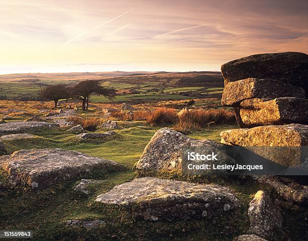 Combestone Tor Alla Luce Del Tramonto - Fotografie stock e altre immagini di Dartmoor - Dartmoor, Agricoltura, Albero