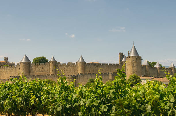 istock Medieval town of Carcassonne and vineyards 151560100