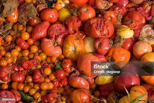 Abono Pila De Nada Y Tomates Pudrirse Foto de stock y más banco de imágenes de Alimento - Alimento, Amarillo - Color, Amoldar