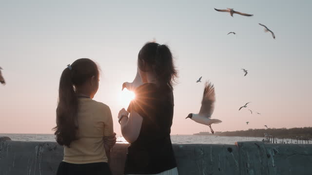 Beautiful Teenage Girl Feeding Seagulls at Sunset on a Tranquil Beach