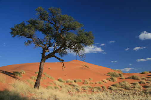 Dunes of Namibrand