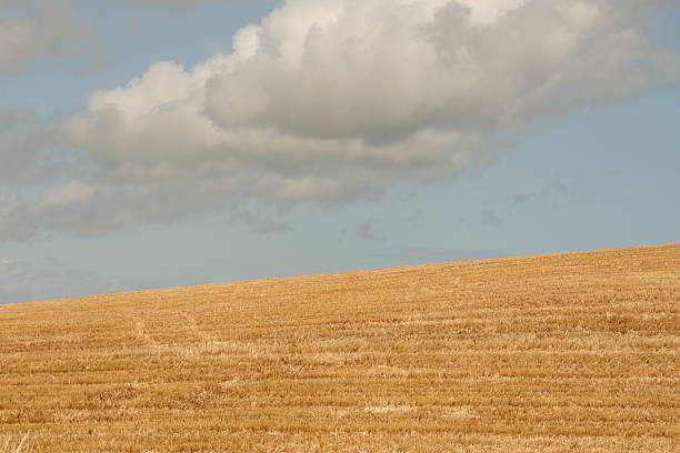 stubble and clouds stock photo