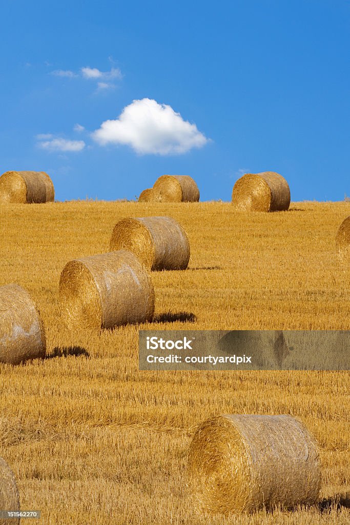ベイルズの干し草 - チェコ共和国のロイヤリティフリーストックフォト