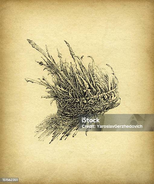 Fantasy Crown Stock Illustration - Download Image Now - Ancient, Antique, Art