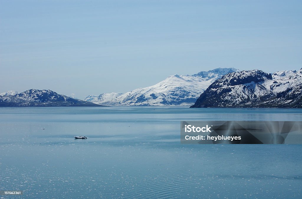 알래스카, 베이 빙하 국립 공원 - 로열티 프리 0명 스톡 사진
