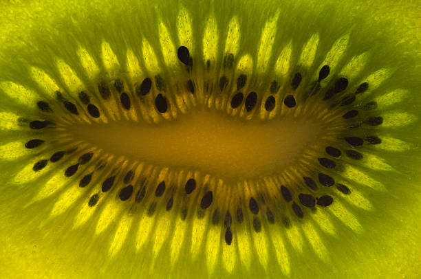 Close up of kiwi fruit stock photo