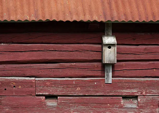 Nestbox on a red log cabin