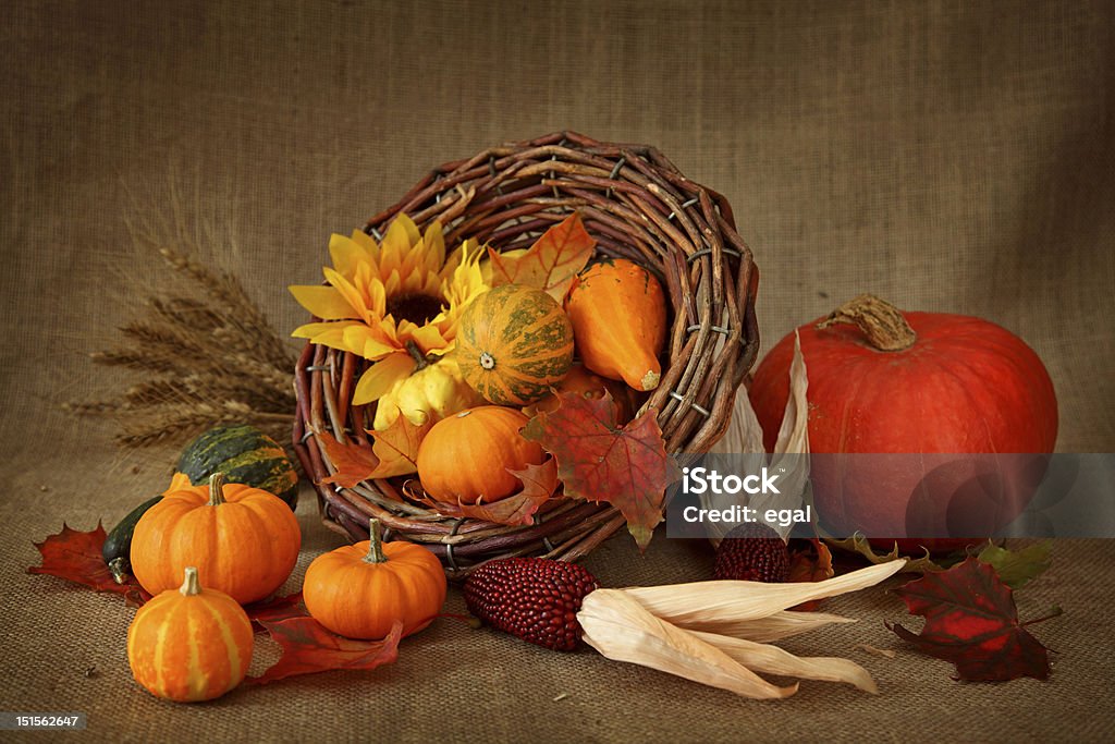 Cornucopia with pumpkins Cornucopia with pumpkins on brown background Agriculture Stock Photo