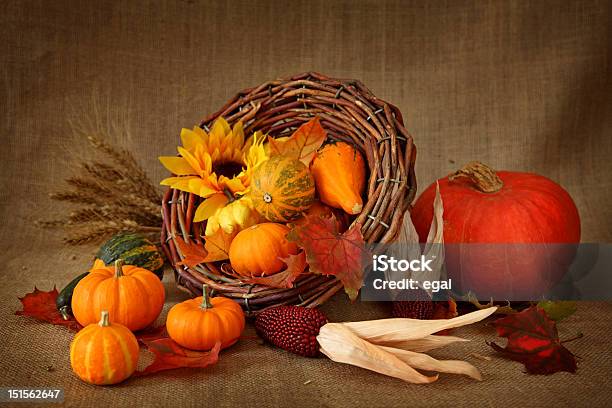 Cornucopia With Pumpkins Stock Photo - Download Image Now - Agriculture, Autumn, Basket
