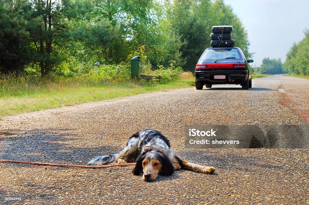 don't ditch the dog when holidays are there   (© Lobke Peers) Dog left behind while it's owners leave for a vacation Abandoned Stock Photo