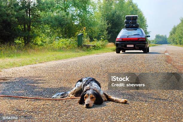 Dont Ditch The Dog When Holidays Are There Stock Photo - Download Image Now