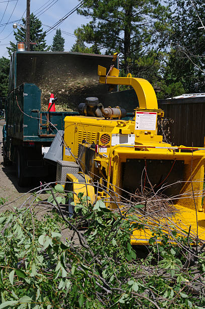 Commercial wood chipper working stock photo