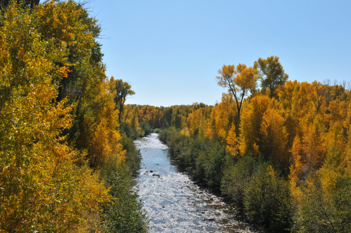 A beautiful autumn day in Northern New Mexico during the changing of the leaves.